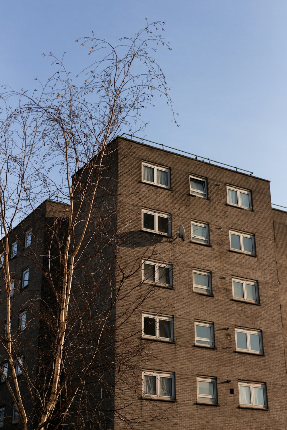 brown building beside leafless tree during daytime