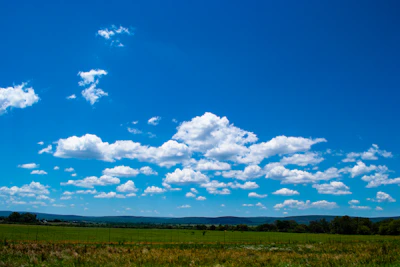 A scenic view of open land ready for sale with clear blue skies.