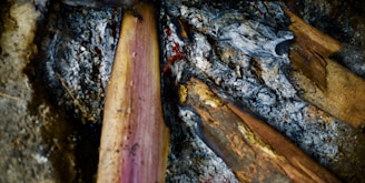 Charred and partially burned pieces of wood mixed with ash and darkened soil surrounding the remnants of a fire. The texture is rough, with contrasting colors of gray ash and the brown wood, creating a rustic appearance.