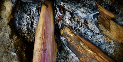 Charred and partially burned pieces of wood mixed with ash and darkened soil surrounding the remnants of a fire. The texture is rough, with contrasting colors of gray ash and the brown wood, creating a rustic appearance.