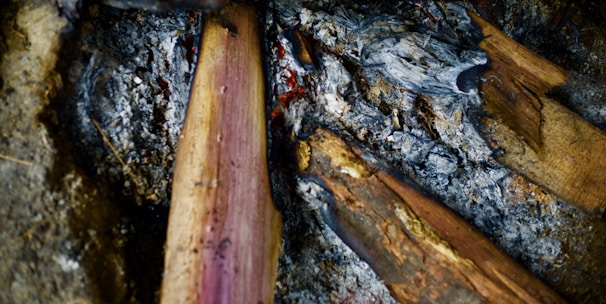 Charred and partially burned pieces of wood mixed with ash and darkened soil surrounding the remnants of a fire. The texture is rough, with contrasting colors of gray ash and the brown wood, creating a rustic appearance.