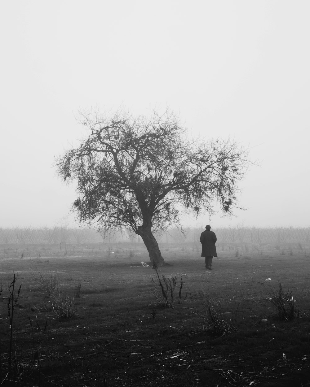 man standing near tree black and white photography