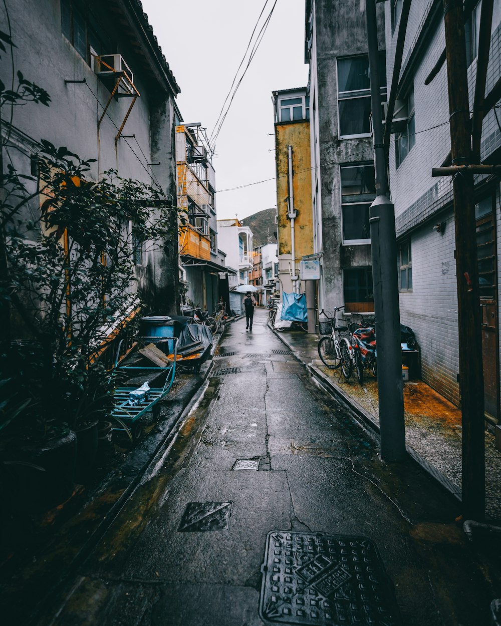 man walking on pathway under white sky