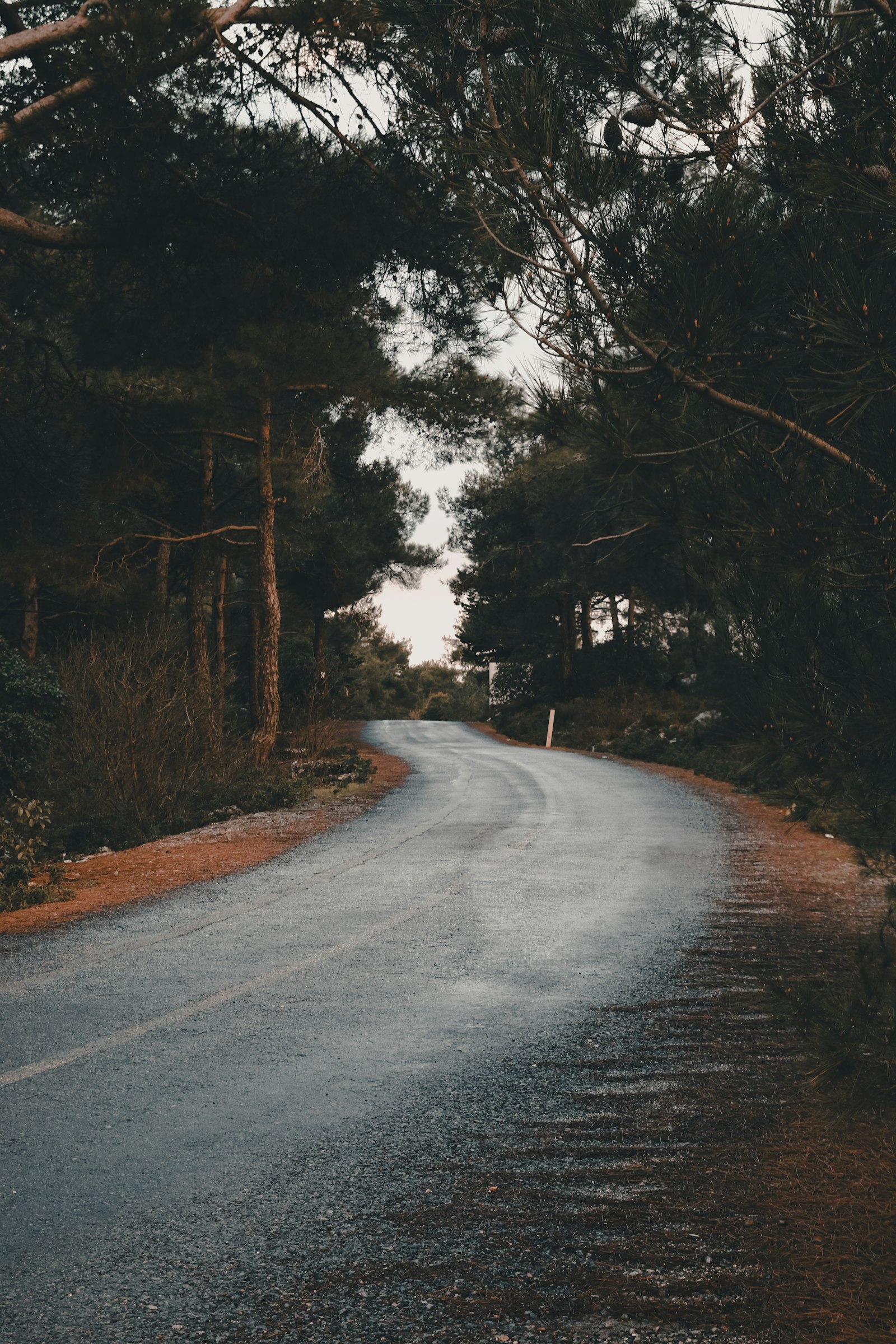 Canon EOS 70D + Tamron SP AF 17-50mm F2.8 XR Di II LD Aspherical (IF) sample photo. Empty road near trees photography