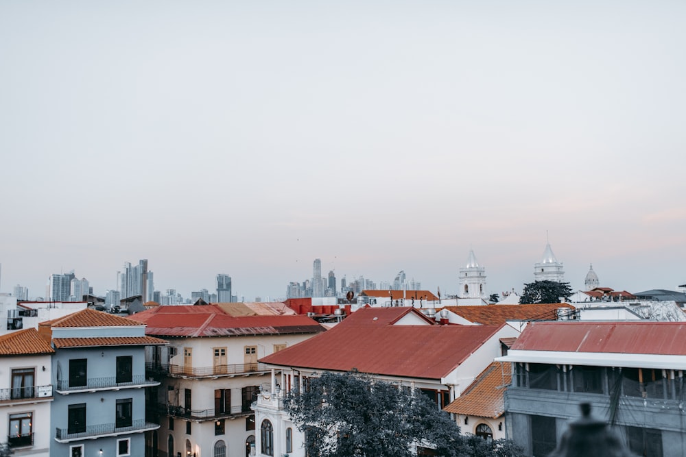 Casa de concreto branco