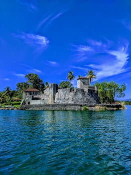 grey concrete building surrounded by trees under clear blue sky