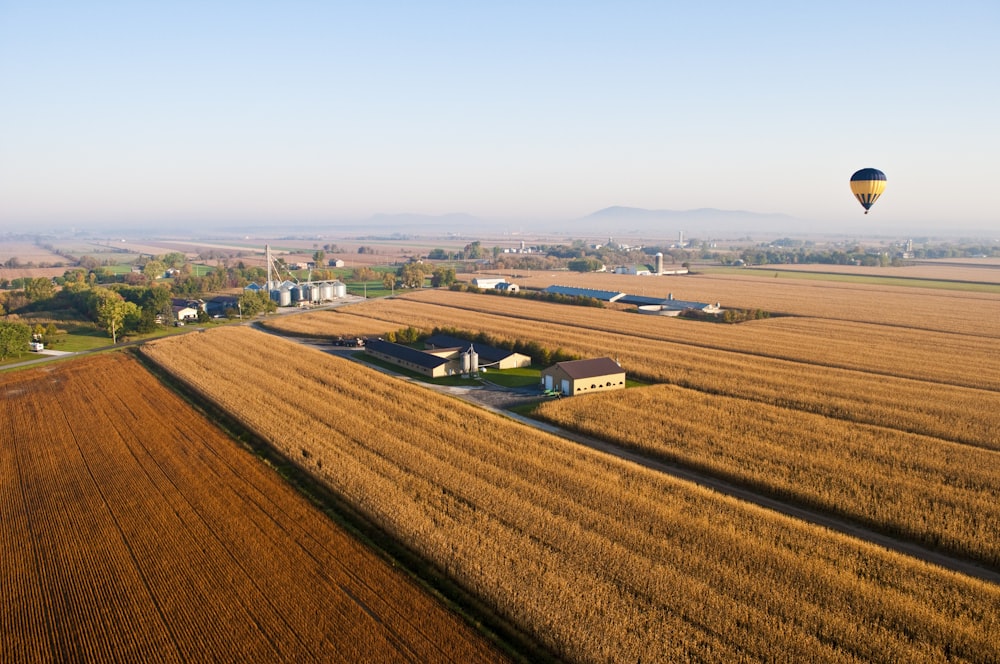 yellow and black hot air balloon over rice field