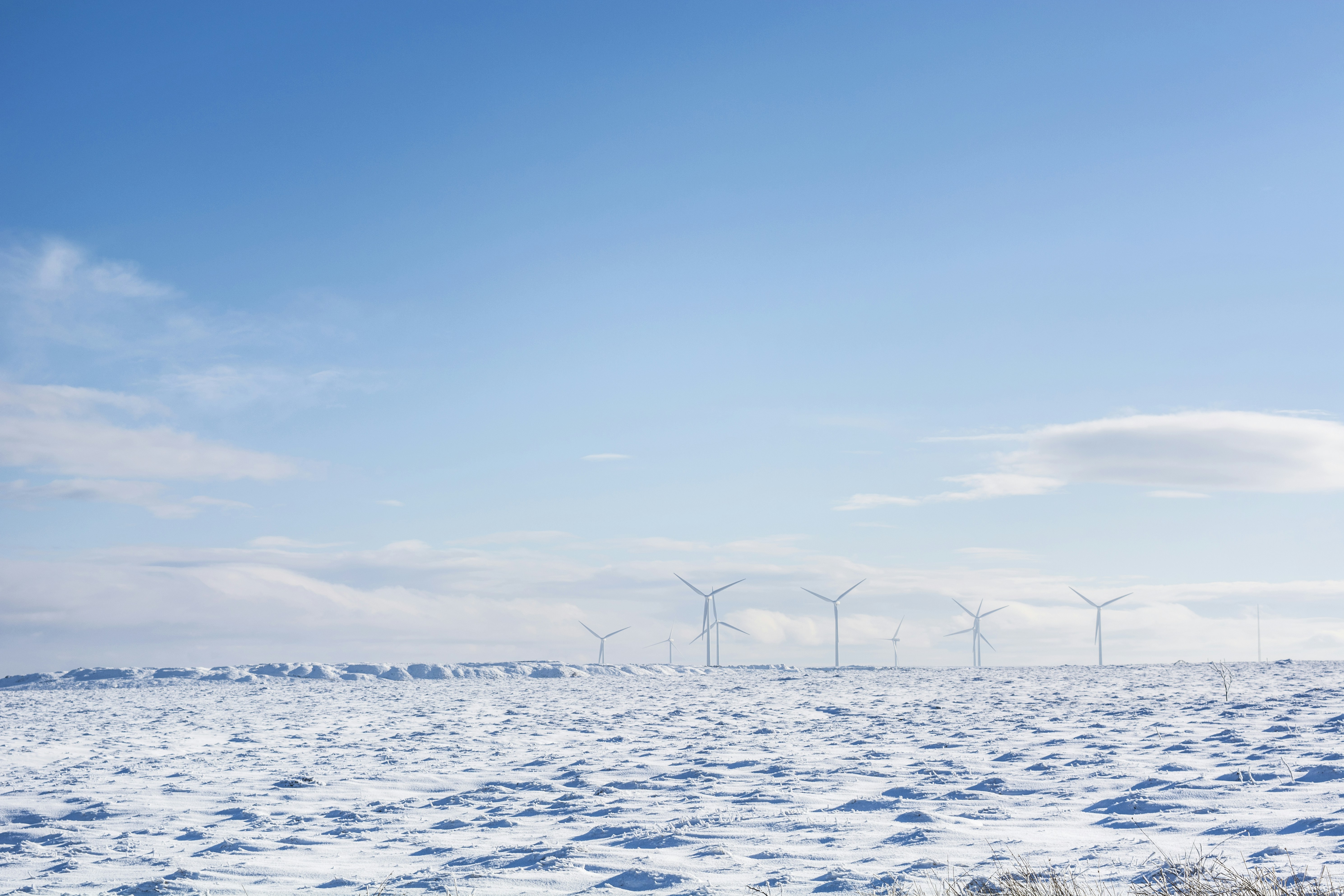 Photo by rach_penney