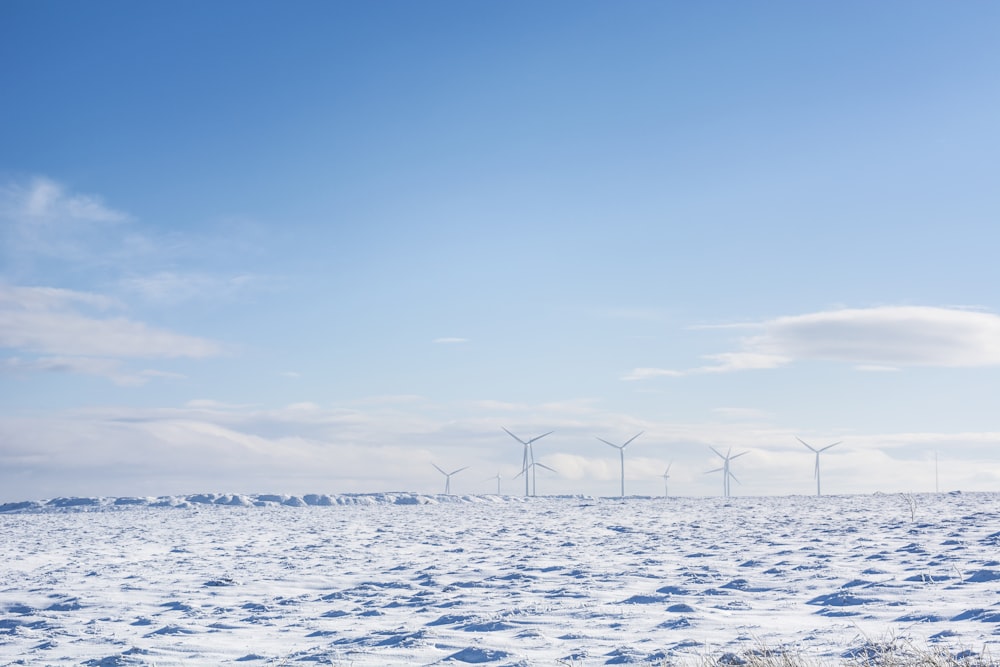 windmills under blue and white sky