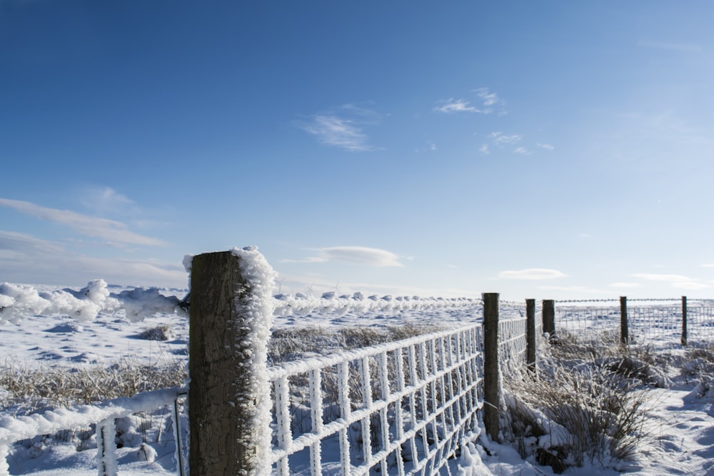 snow covered fences on snow field