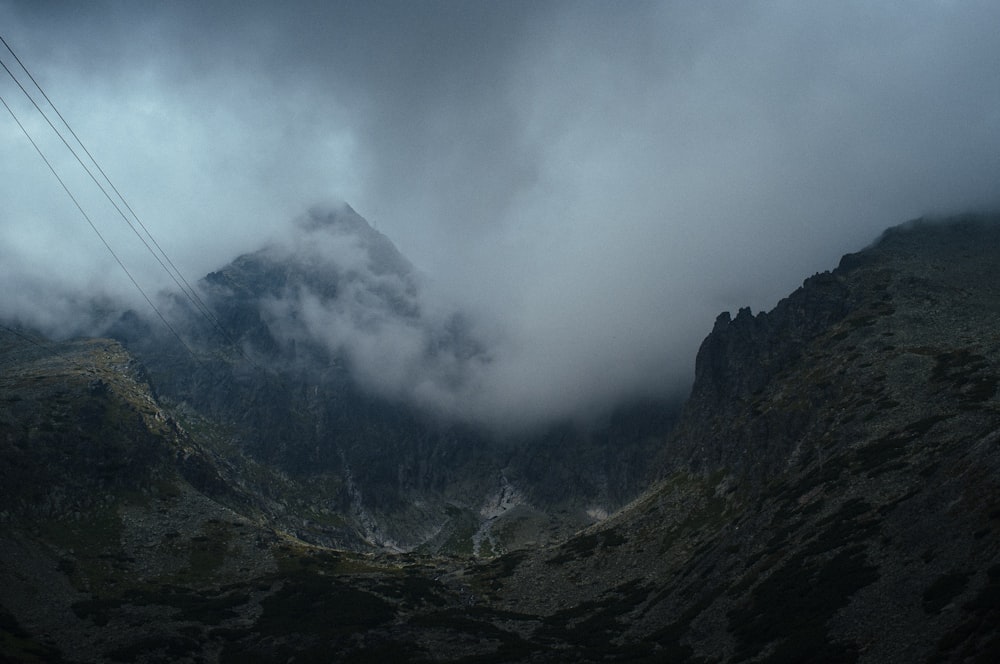 mountain with trees covered with fogs