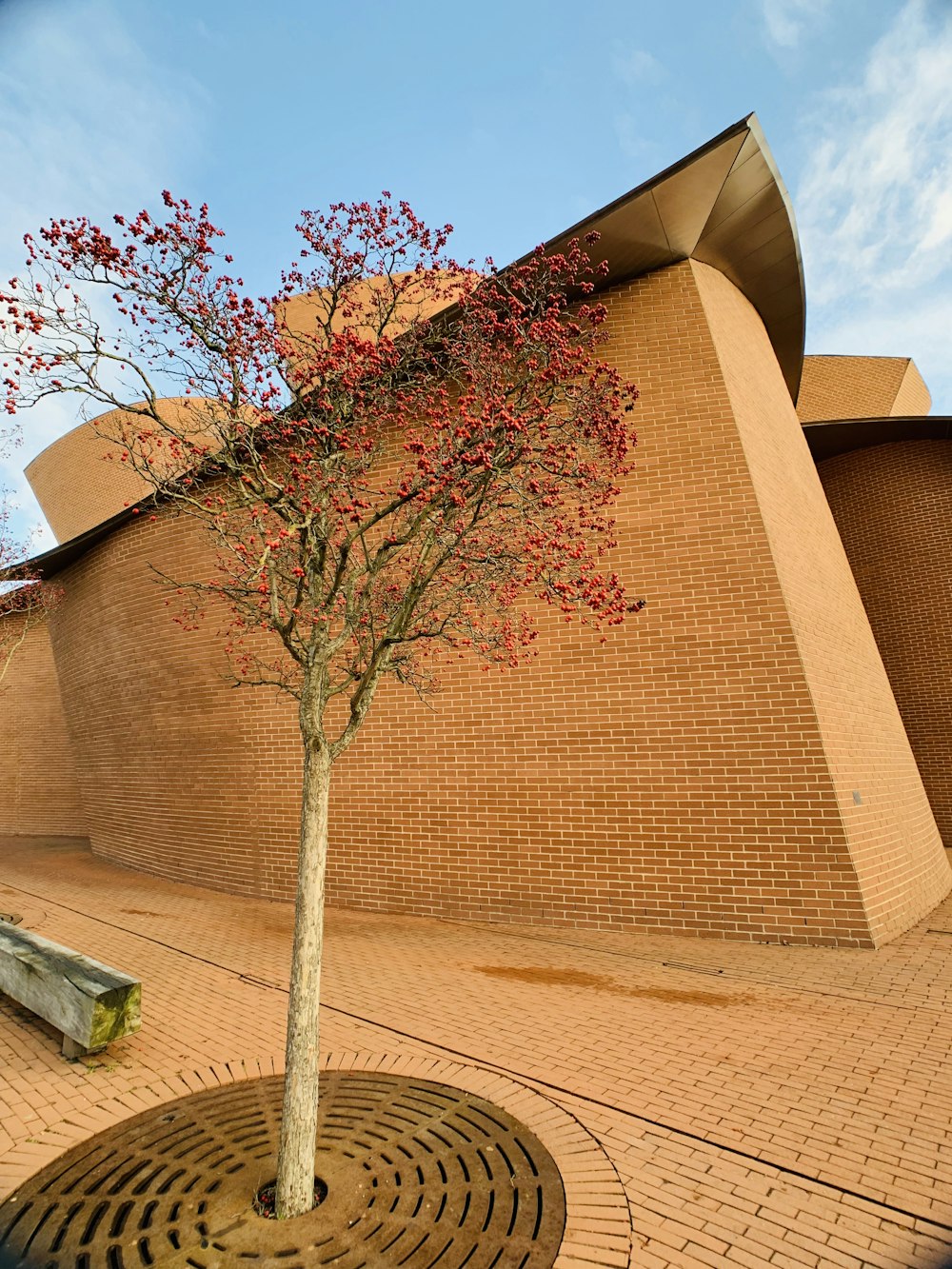 Árbol de flores rojas cerca de Orange House