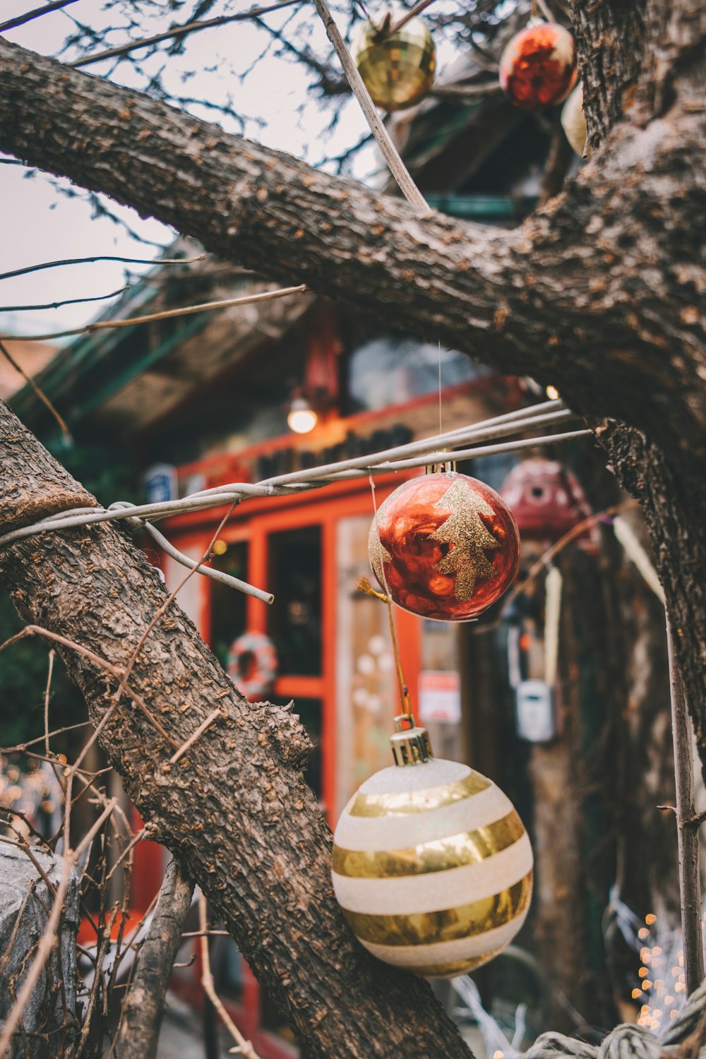 Boules de Noël sur les arbres pendant la journée