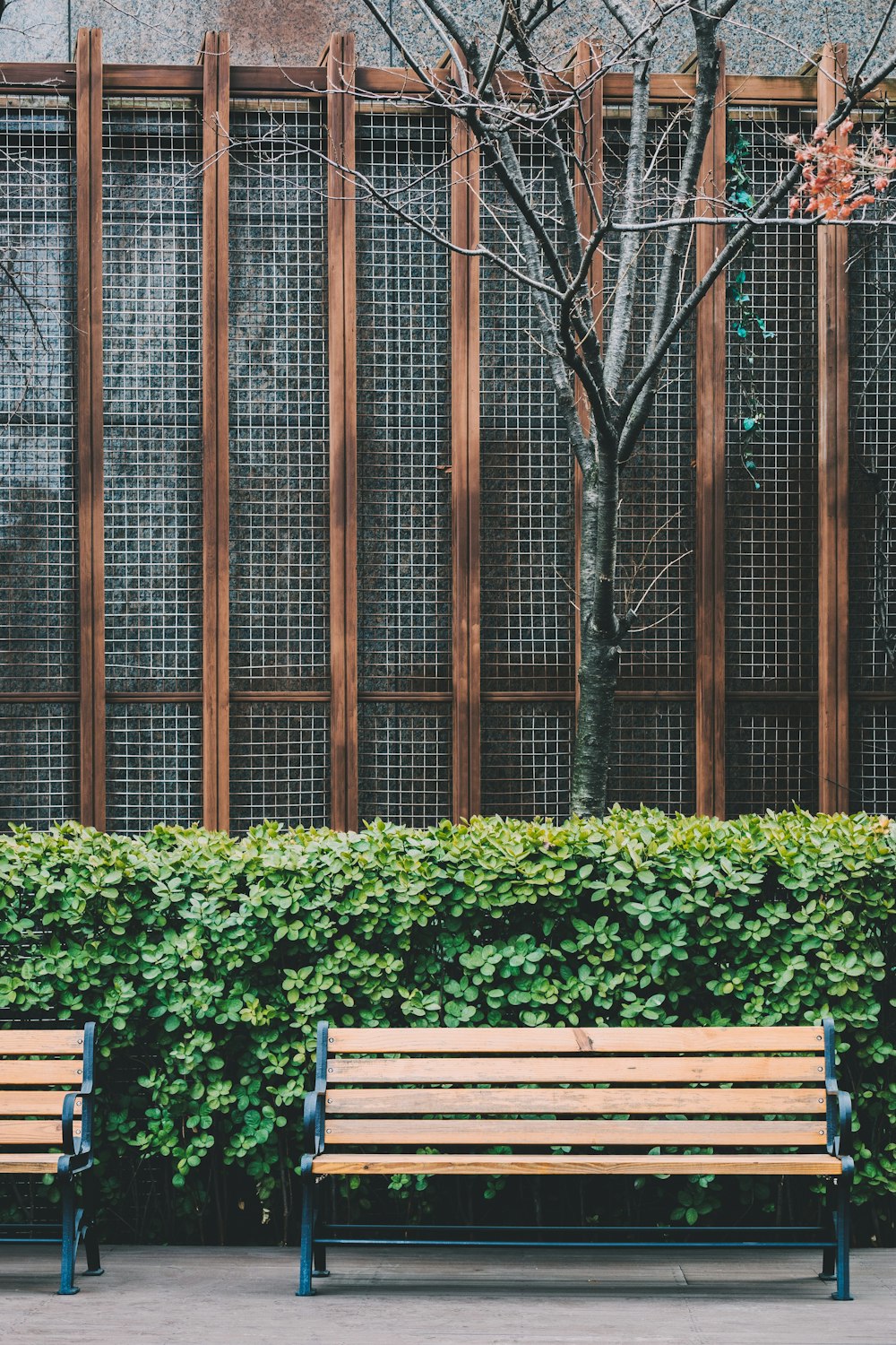 two unoccupied brown benches