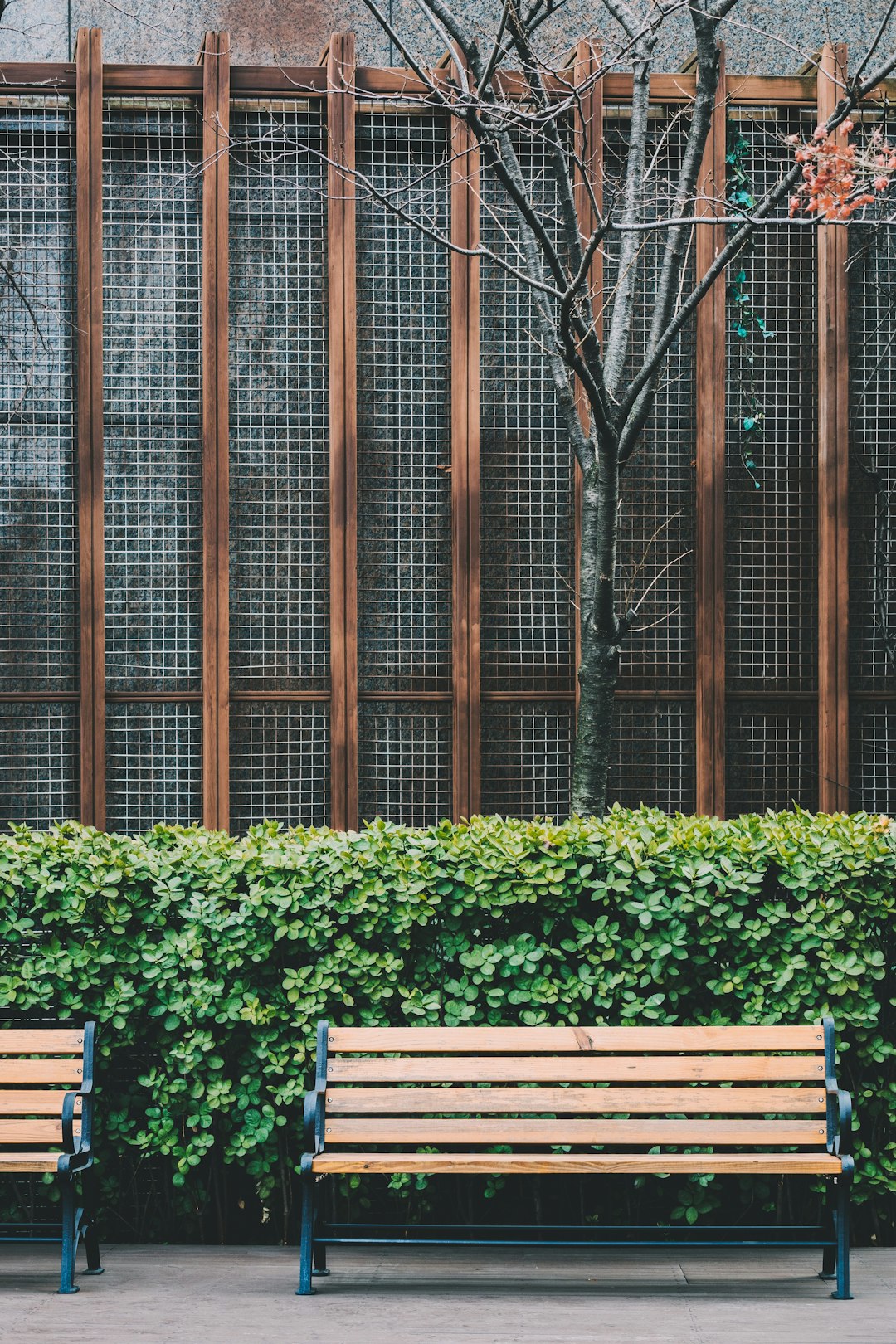 two unoccupied brown benches