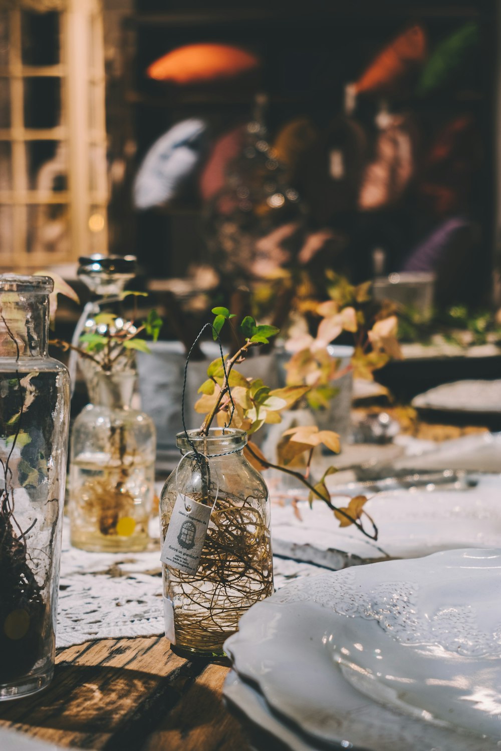 shallow focus photo of green plants on clear glass vase