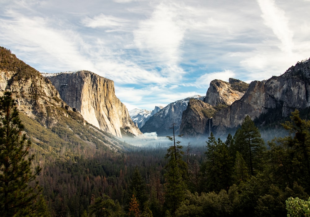 aerial view of trees near mountain