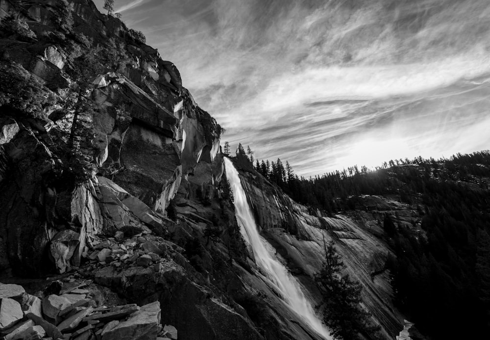 waterfall surrounded by trees