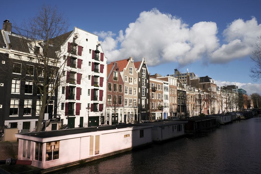 brown concrete buildings near body of water