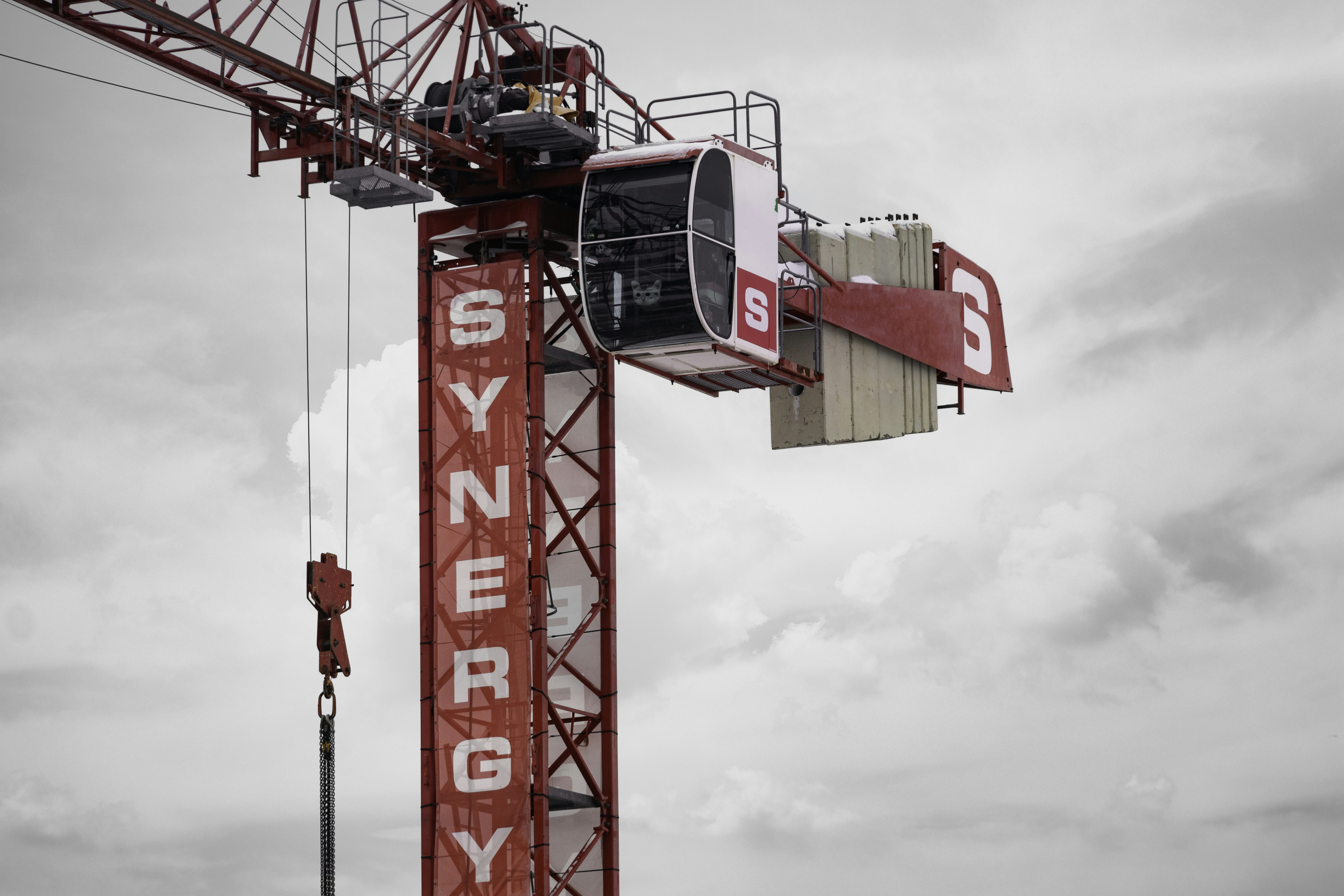 red crane