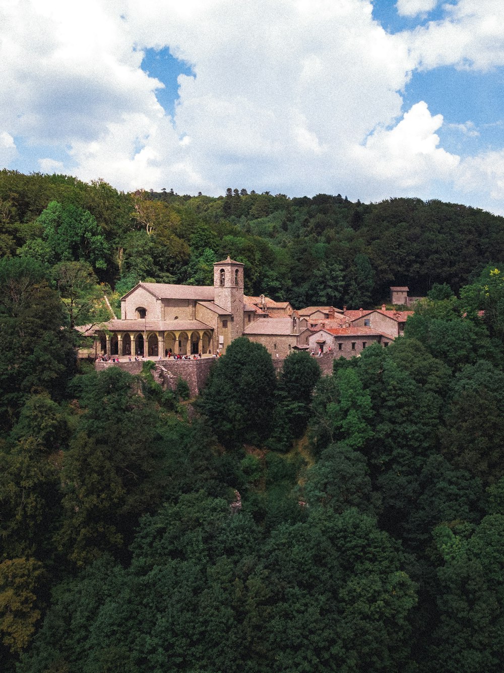 white house surrounded by trees