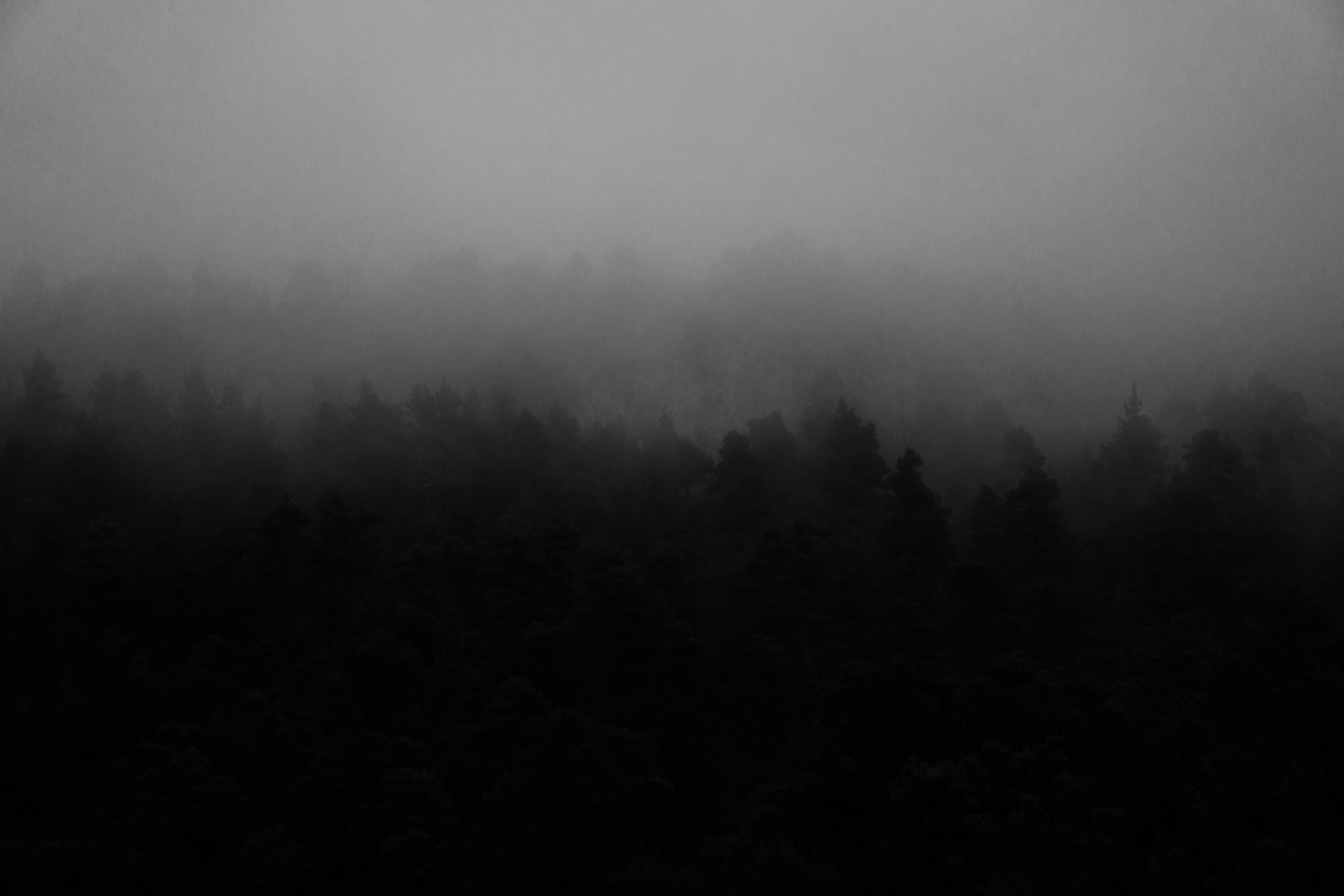 Photo by bill_stamatopoulos