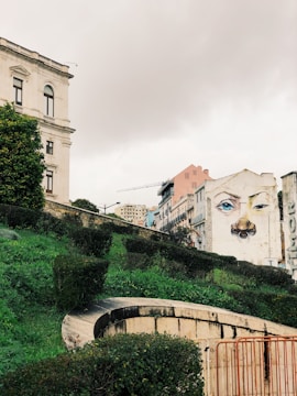 A cityscape featuring a large mural painted on the side of a building, depicting an abstract face with a prominent nose ring. The foreground includes a lush, green hill with manicured bushes and a curved stone path. The sky is overcast, adding a moody atmosphere to the scene. An older, classic-style building with large windows is situated on the left.