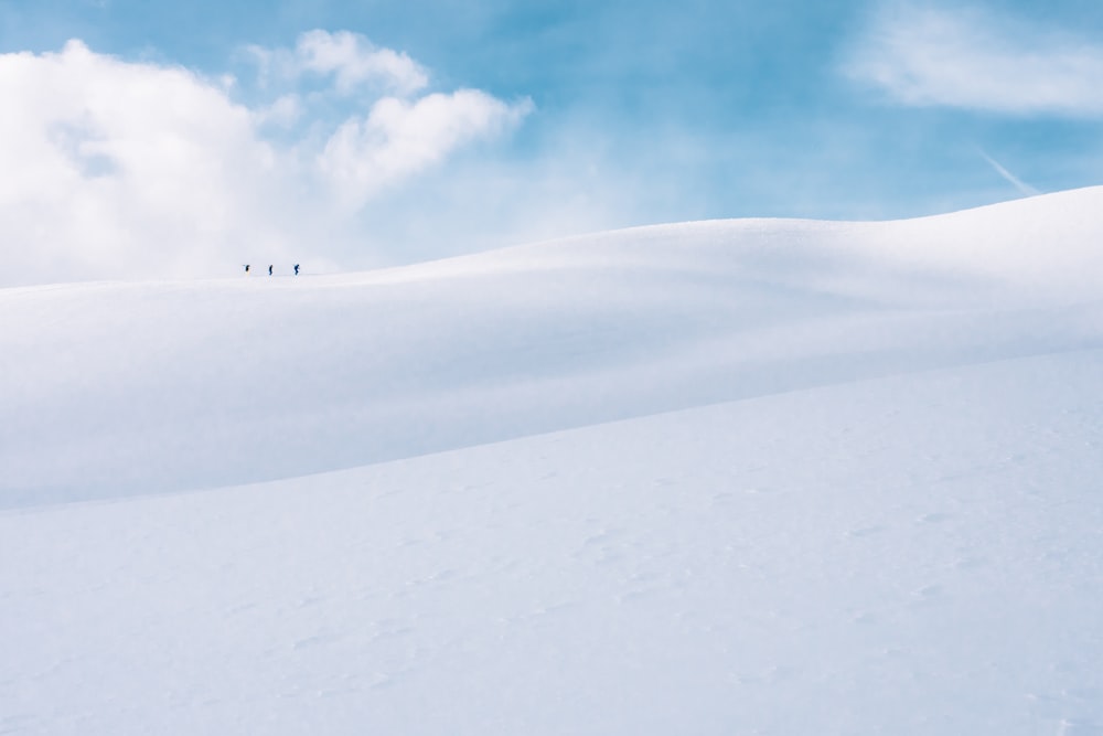 white snow covered land under white cloudy sky