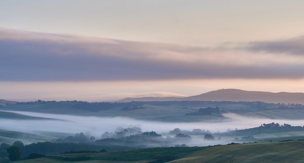 fogs over the field