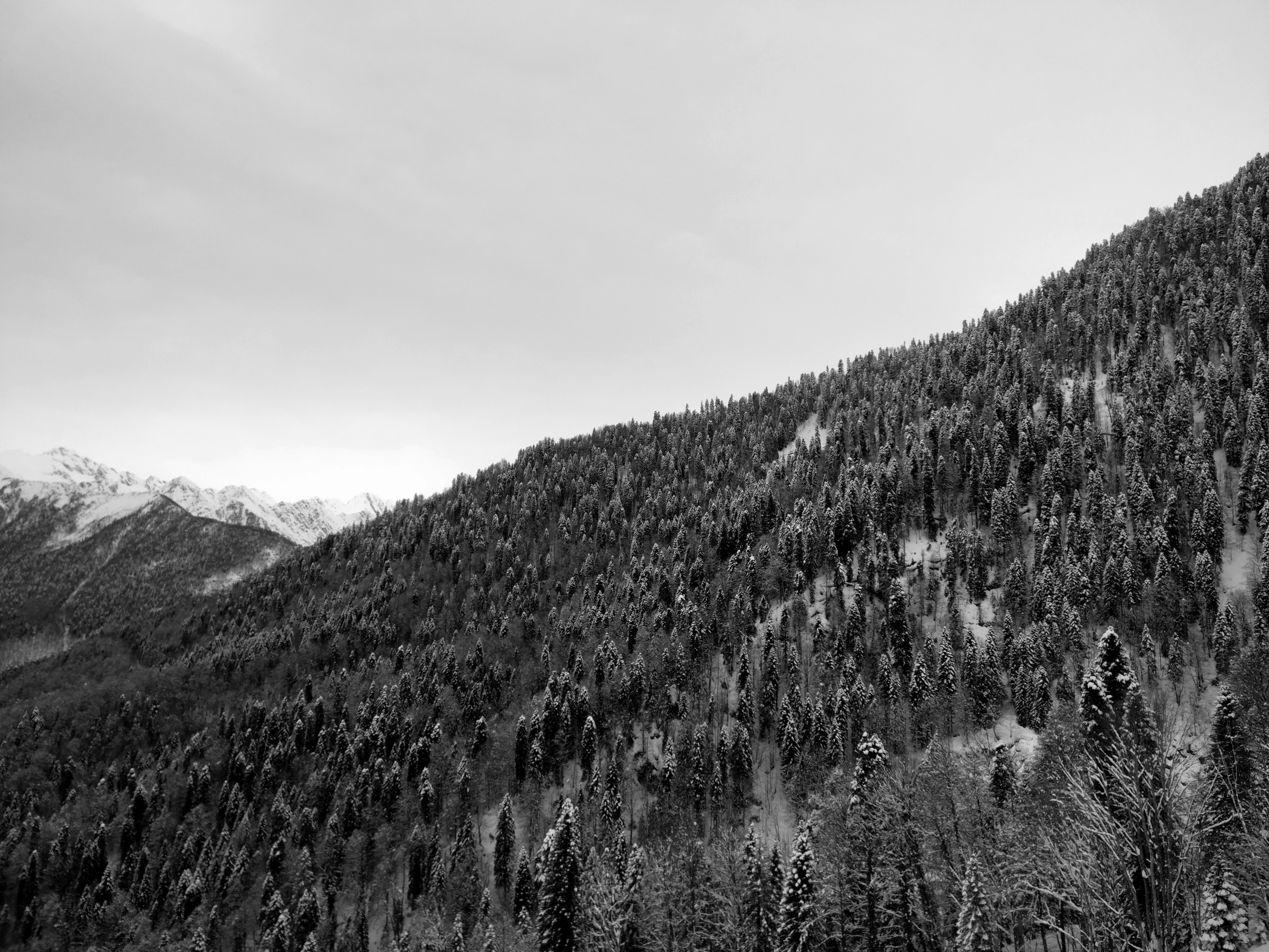 Photo by lexleontiev