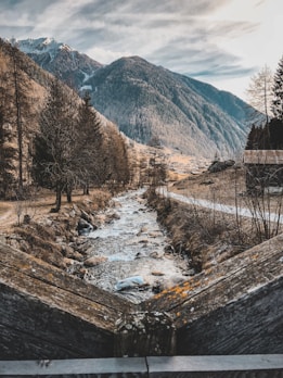 Rustic mountain landscape with pine trees and a flowing river.
