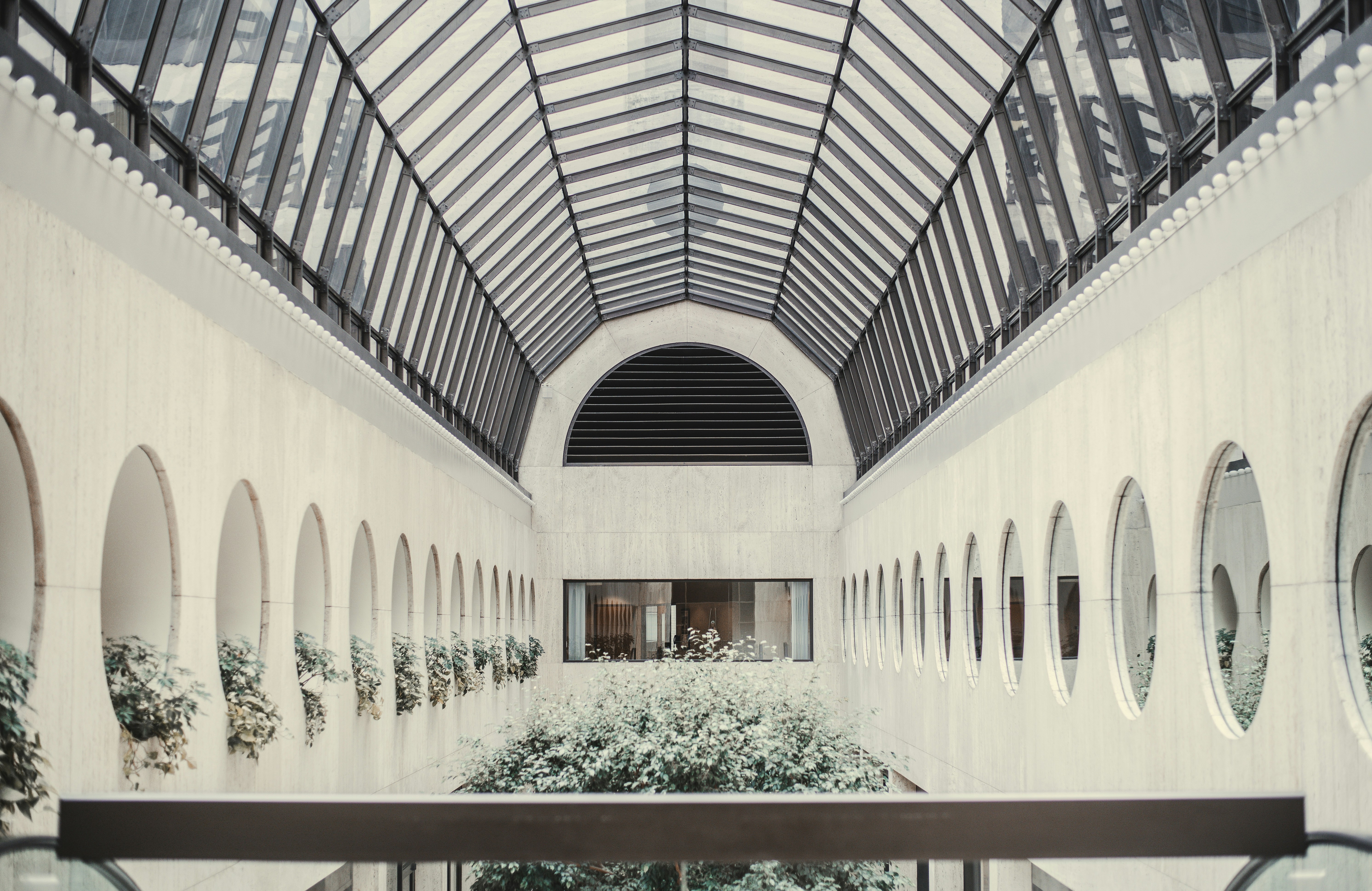 Photo by lightrisephoto