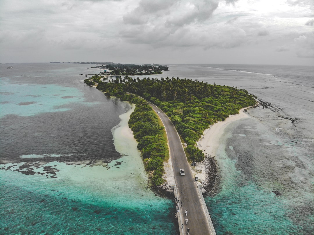 aerial view photography of road beside ocean