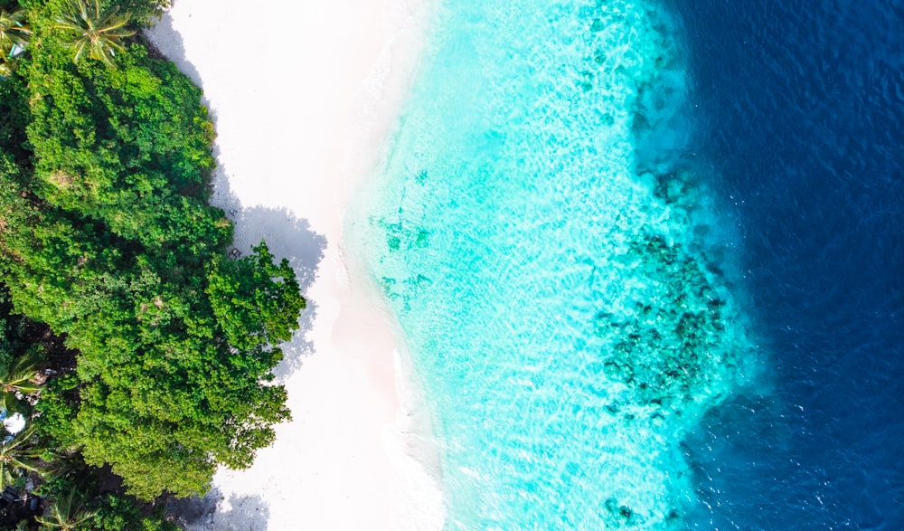 aerial photography of beach