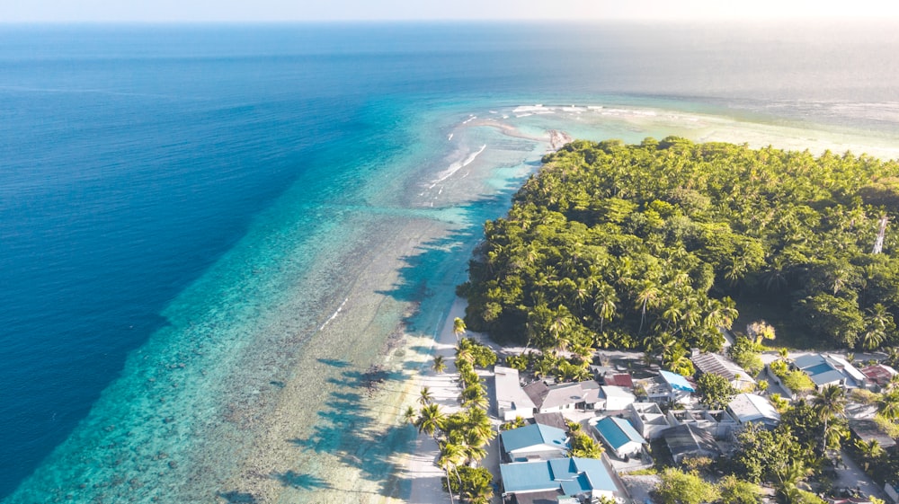 village near shore during daytime