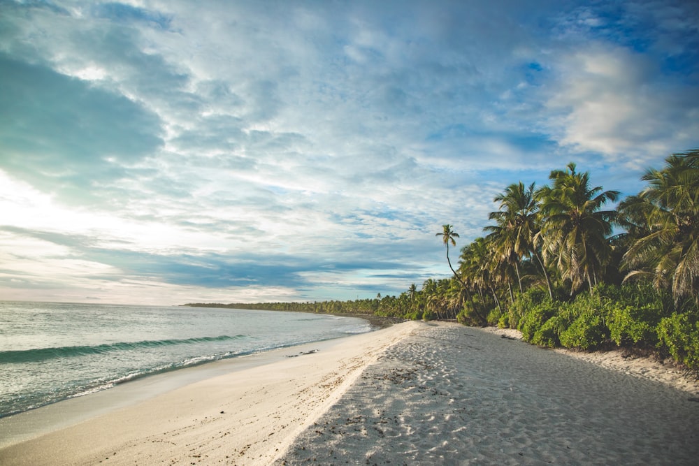 beach during daytime photo