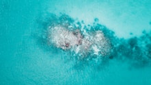 mold removal st charles