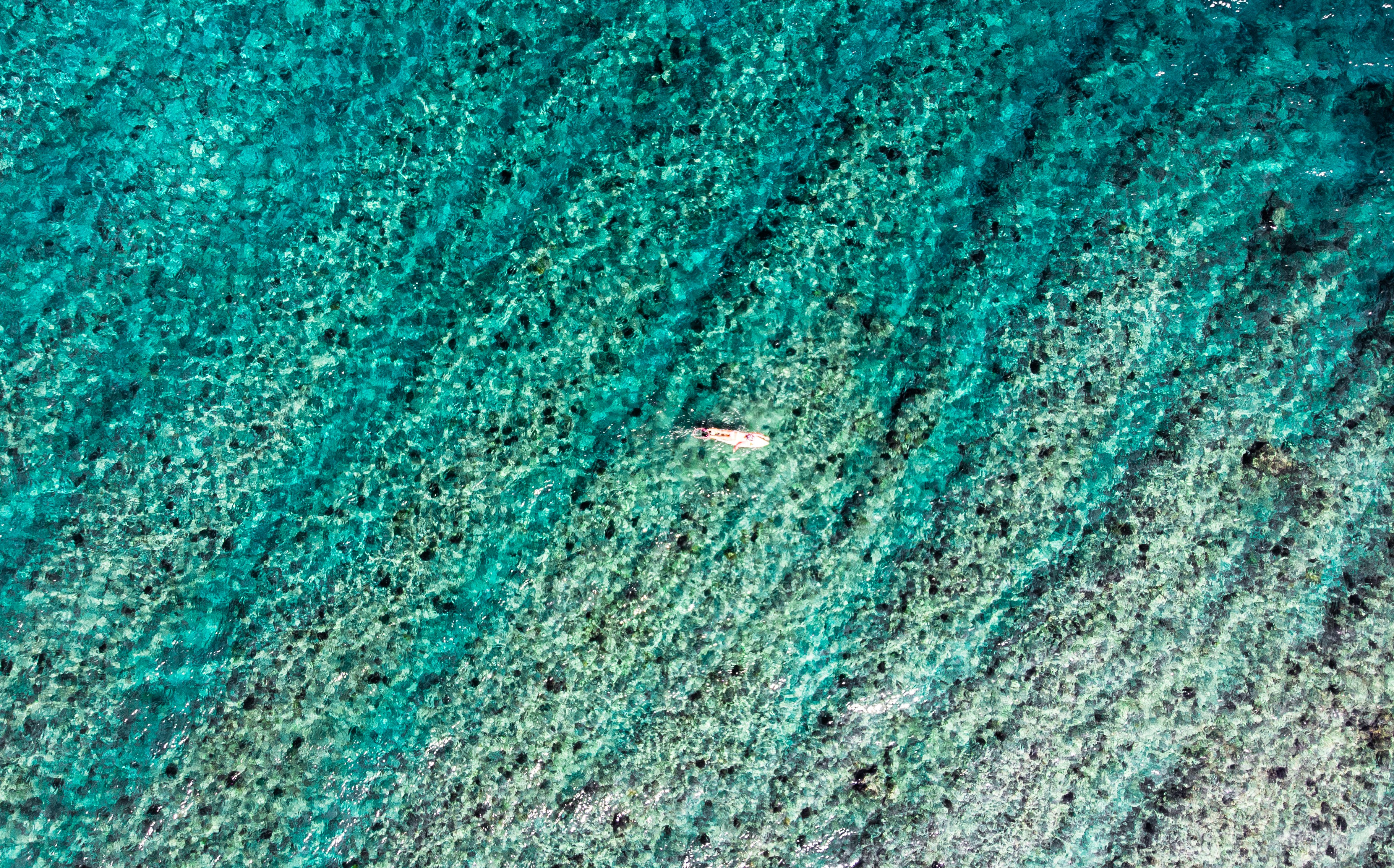 What Happens When You Combine Yoga With Modern Physical Therapy