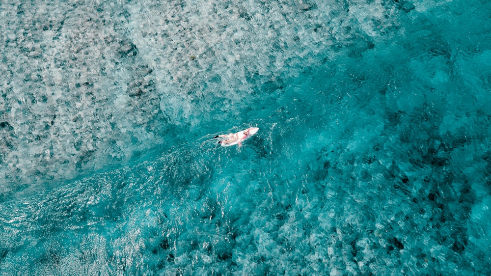 aerial photography of white boat during daytime