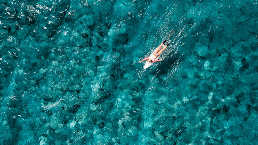 vista de pájaro de una persona surfeando en el cuerpo de agua