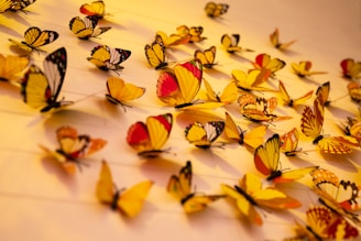 close-up photography of assorted-color butterflies