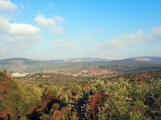 A panoramic view of lush, green Peruvian land with subtle brown earth tones, emphasizing ecological balance.