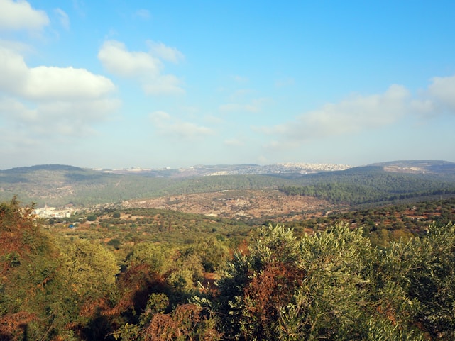 A panoramic view of lush, green Peruvian land with subtle brown earth tones, emphasizing ecological balance.