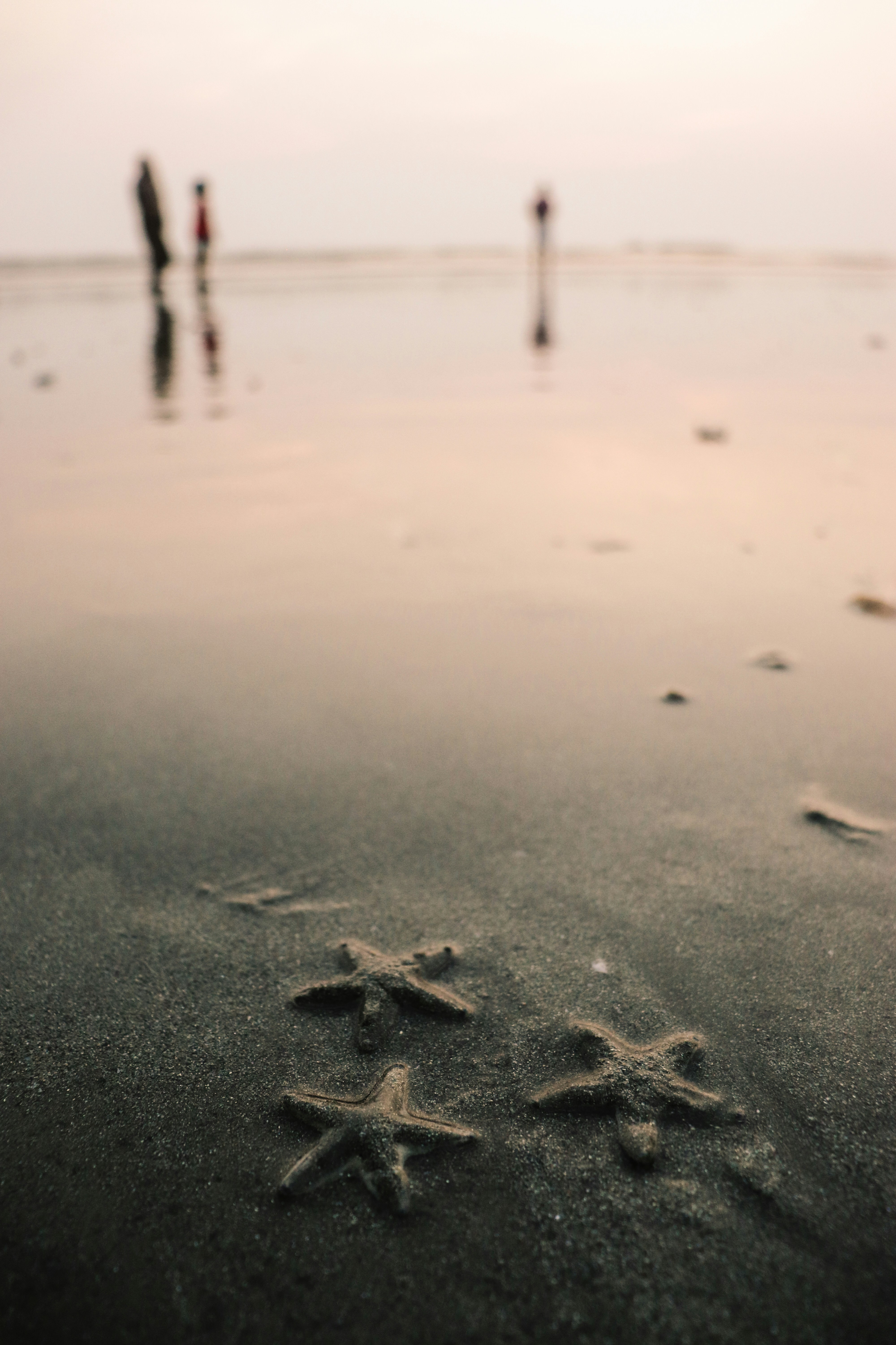 Photo by neilbernard