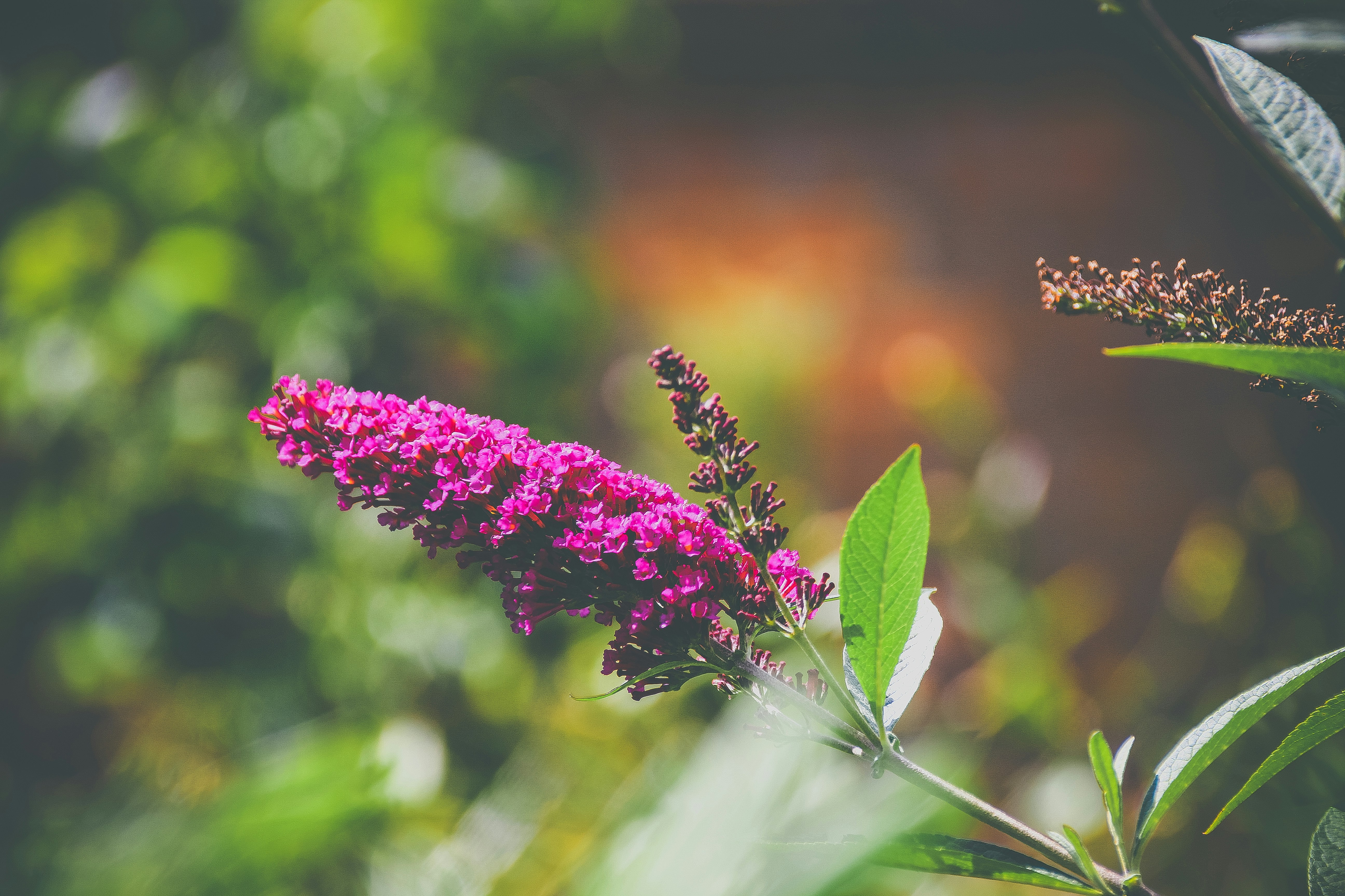 Photo by mattchen089