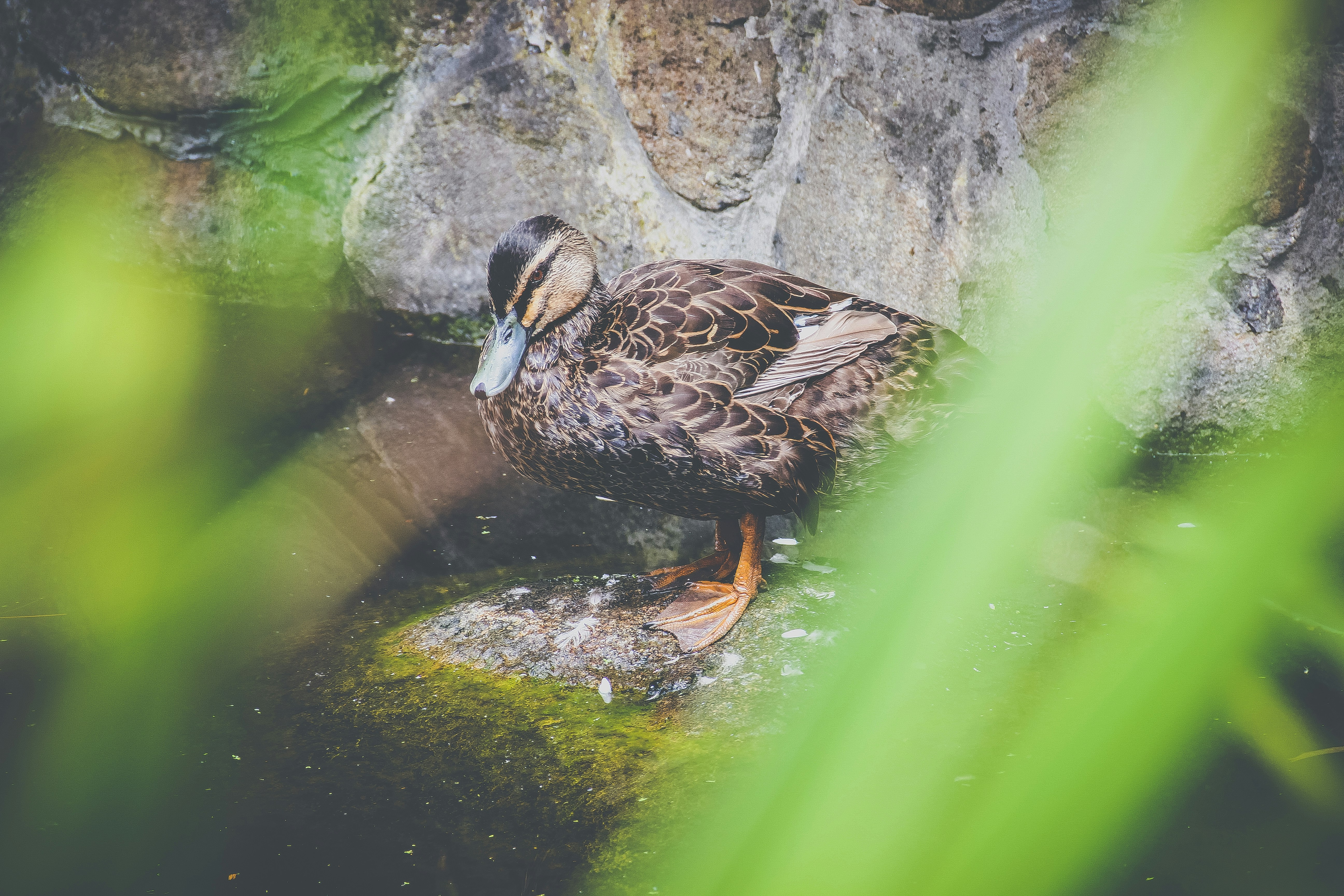 Photo by mattchen089