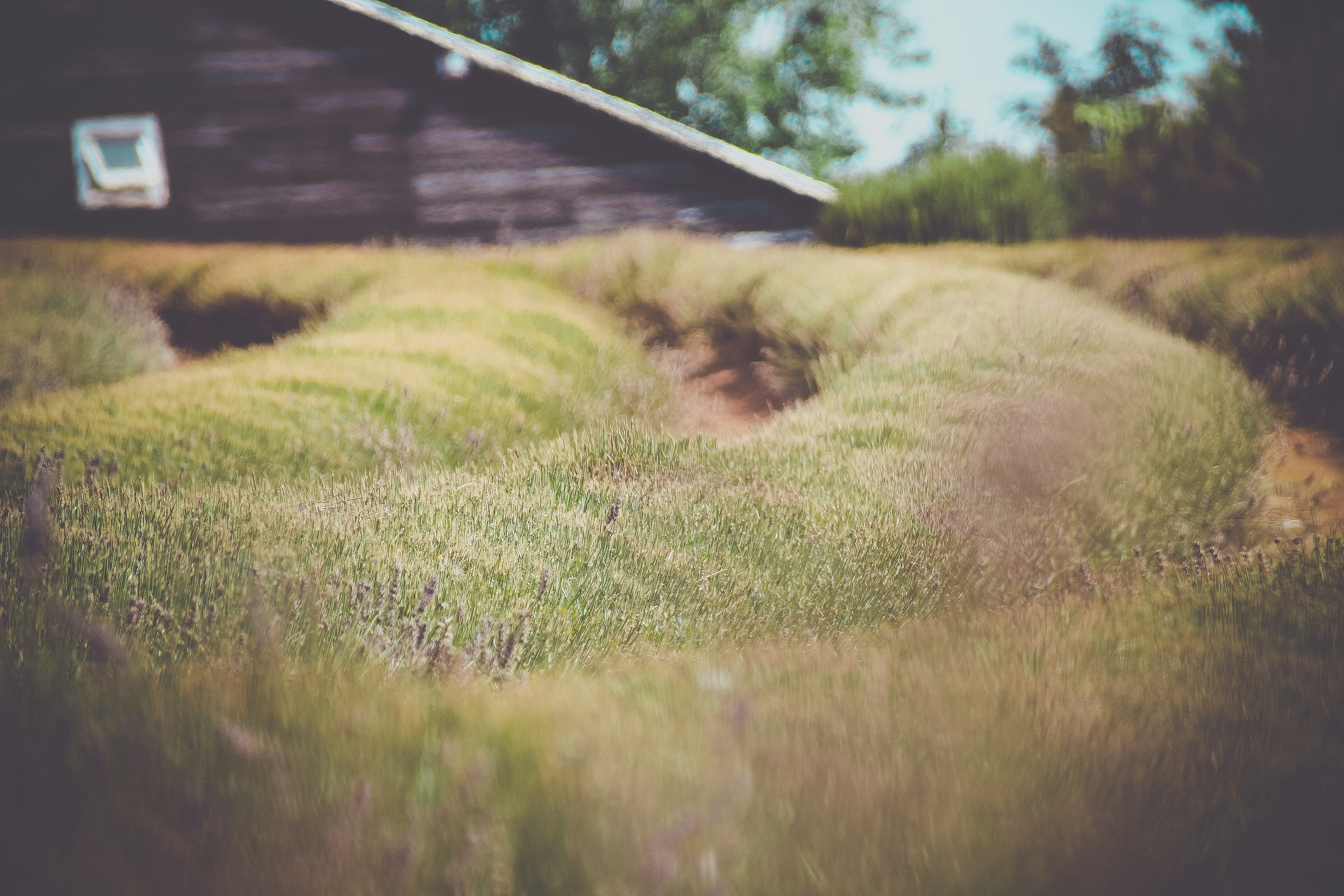 Photo by mattchen089