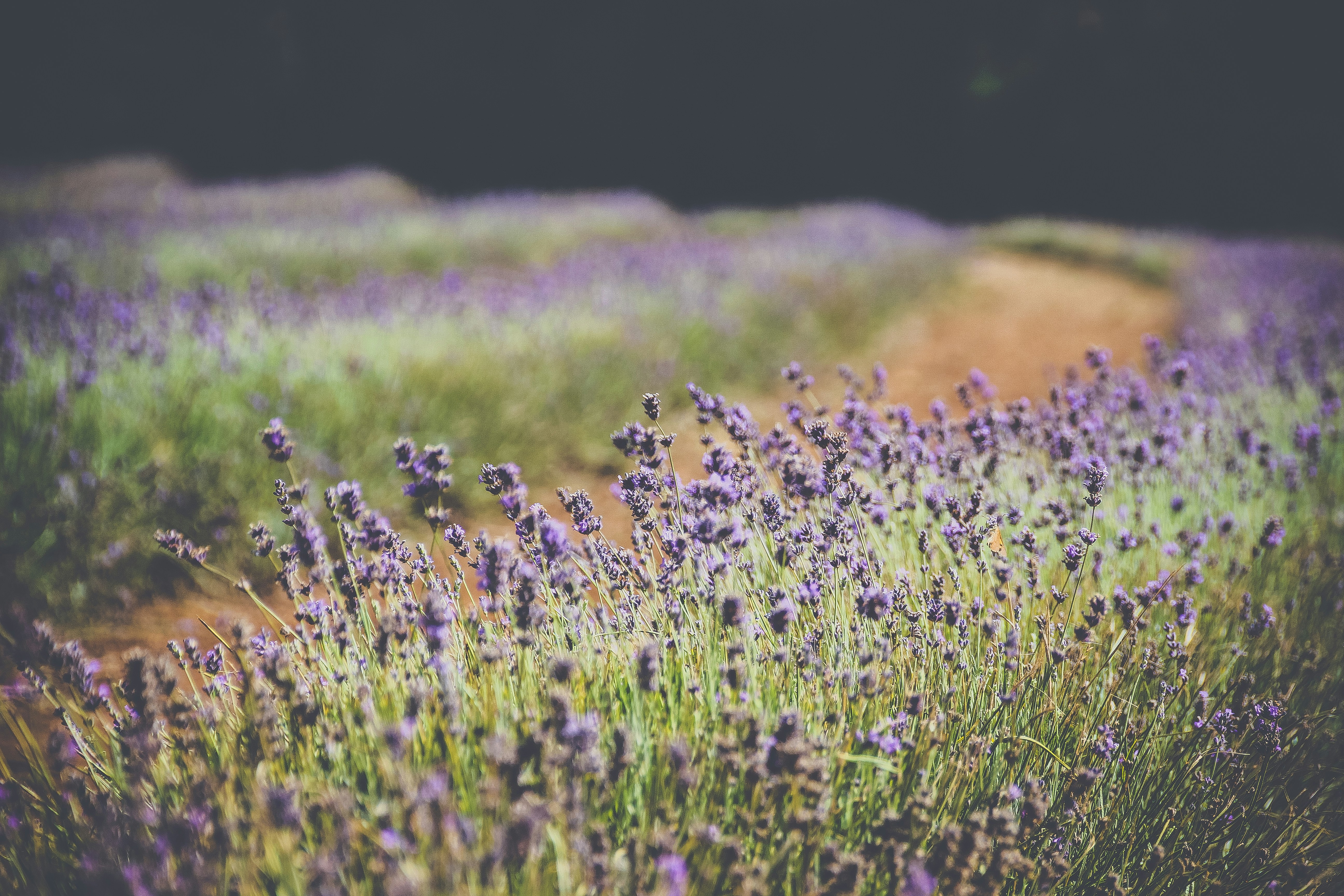 Photo by mattchen089