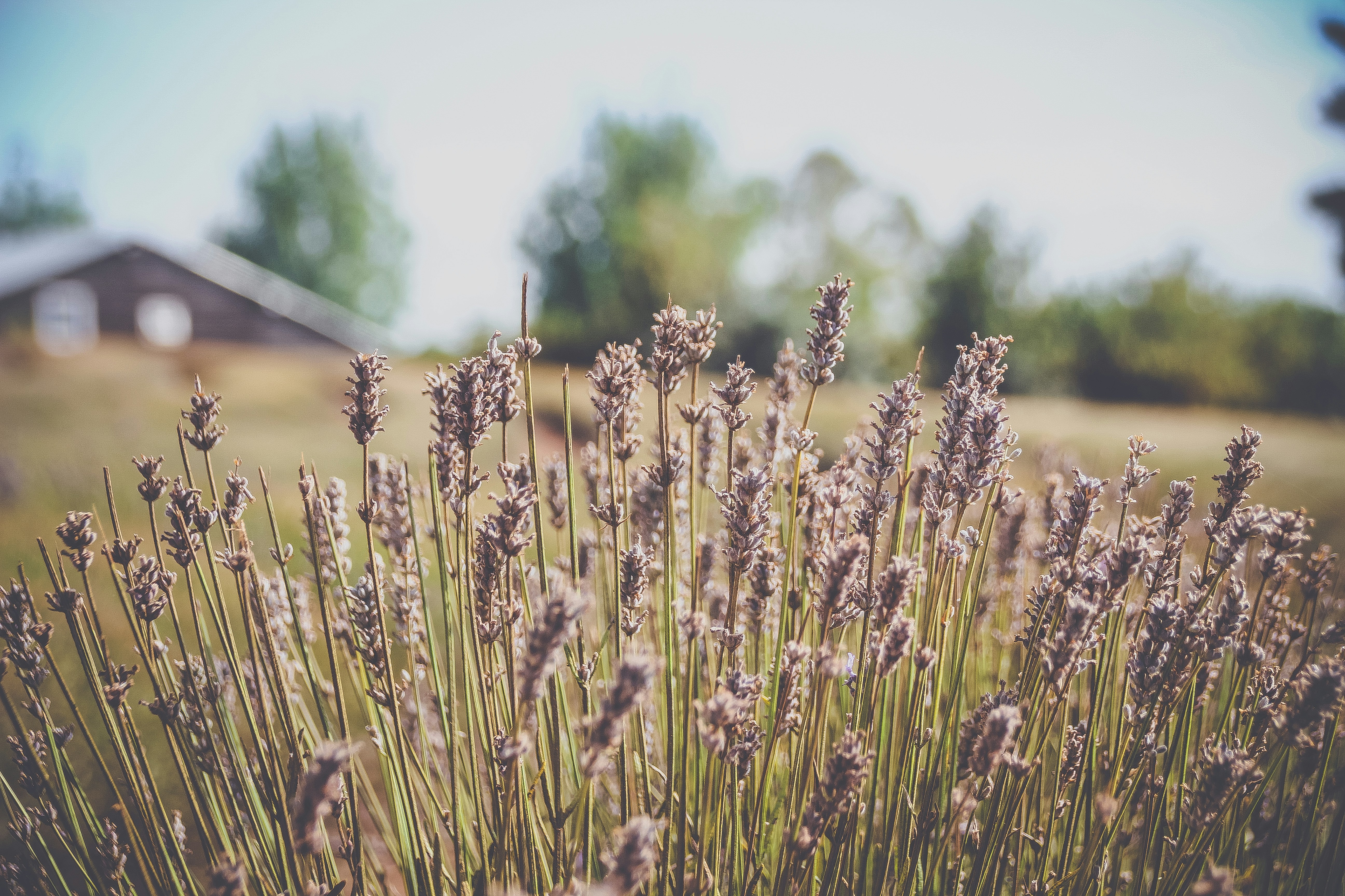 Photo by mattchen089