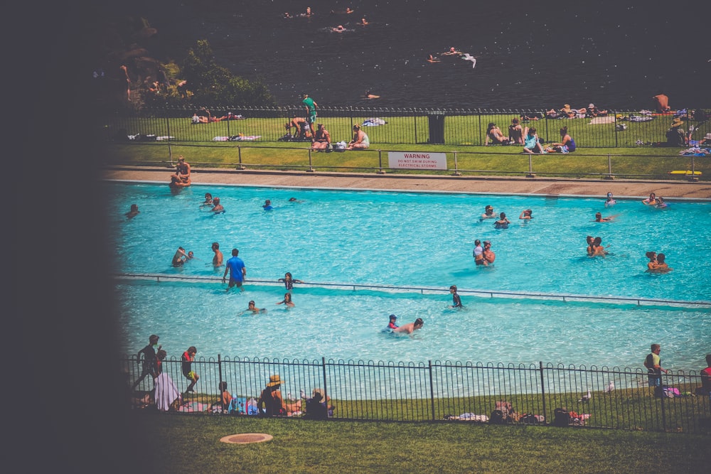 people on swimming pool